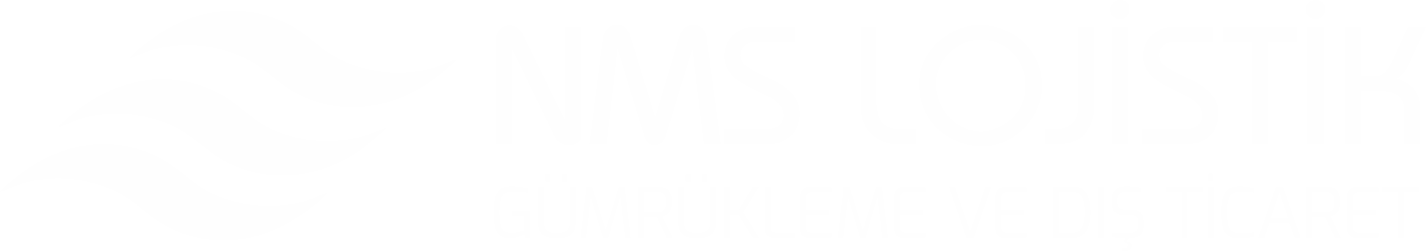 NMS Lojistik